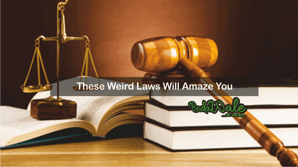 weird laws